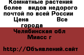 Комнатные растения более200видов недорого почтой по всей России › Цена ­ 100-500 - Все города  »    . Челябинская обл.,Миасс г.